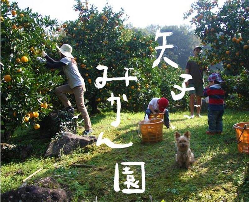 מלון Hakone Pacific מראה חיצוני תמונה