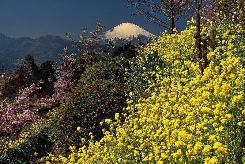 מלון Hakone Pacific מראה חיצוני תמונה