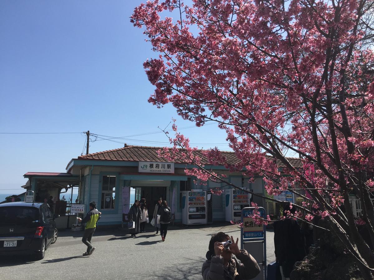 מלון Hakone Pacific מראה חיצוני תמונה