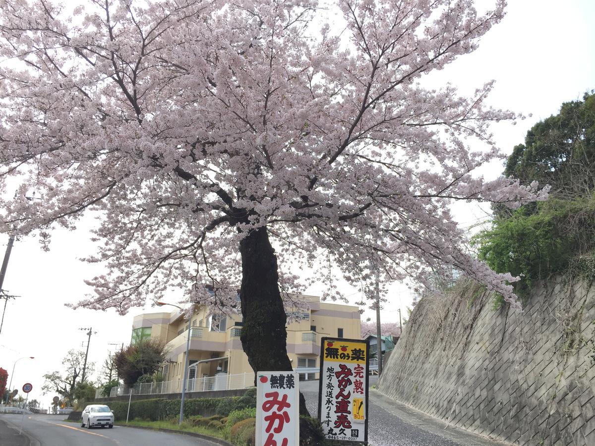 מלון Hakone Pacific מראה חיצוני תמונה