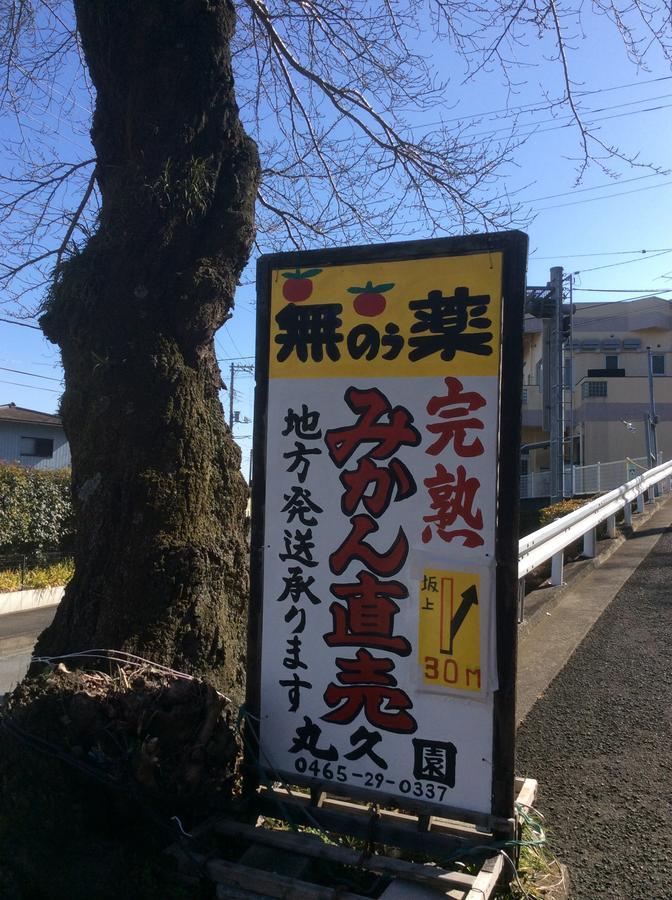 מלון Hakone Pacific מראה חיצוני תמונה